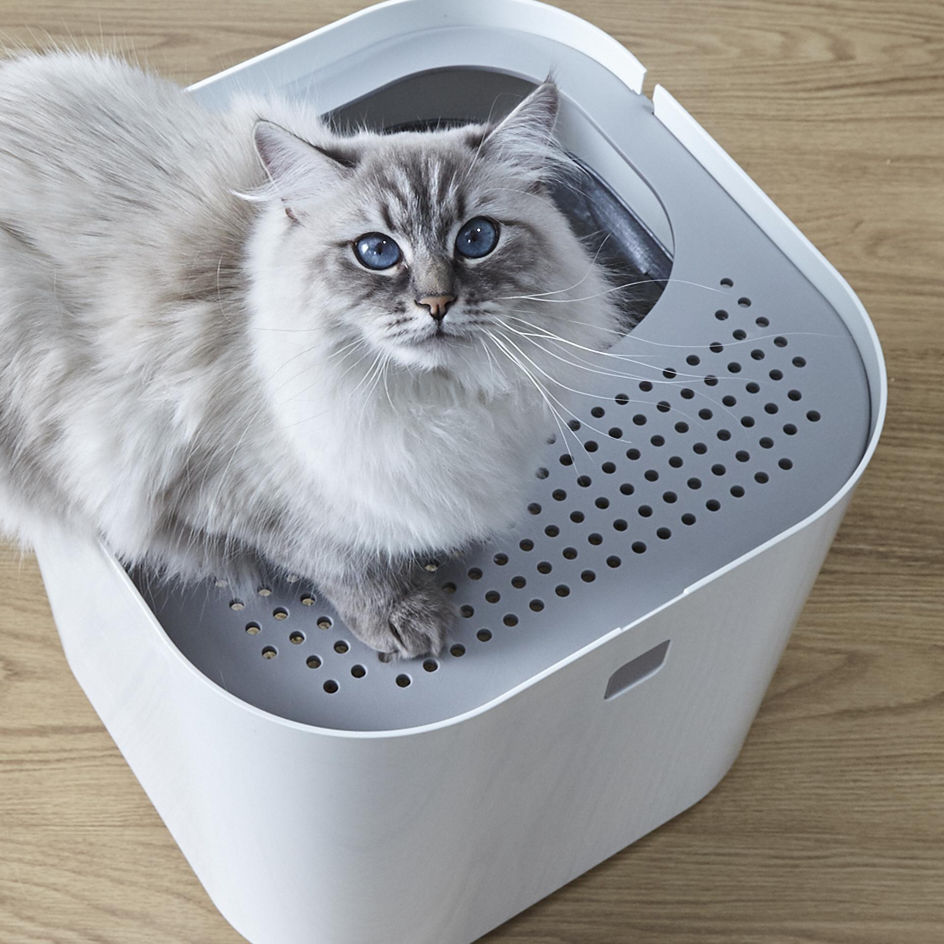 All things about ModKat Litter Box that you should know